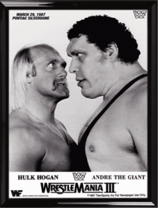WWE Wrestlemania 3 (1987) PPV
